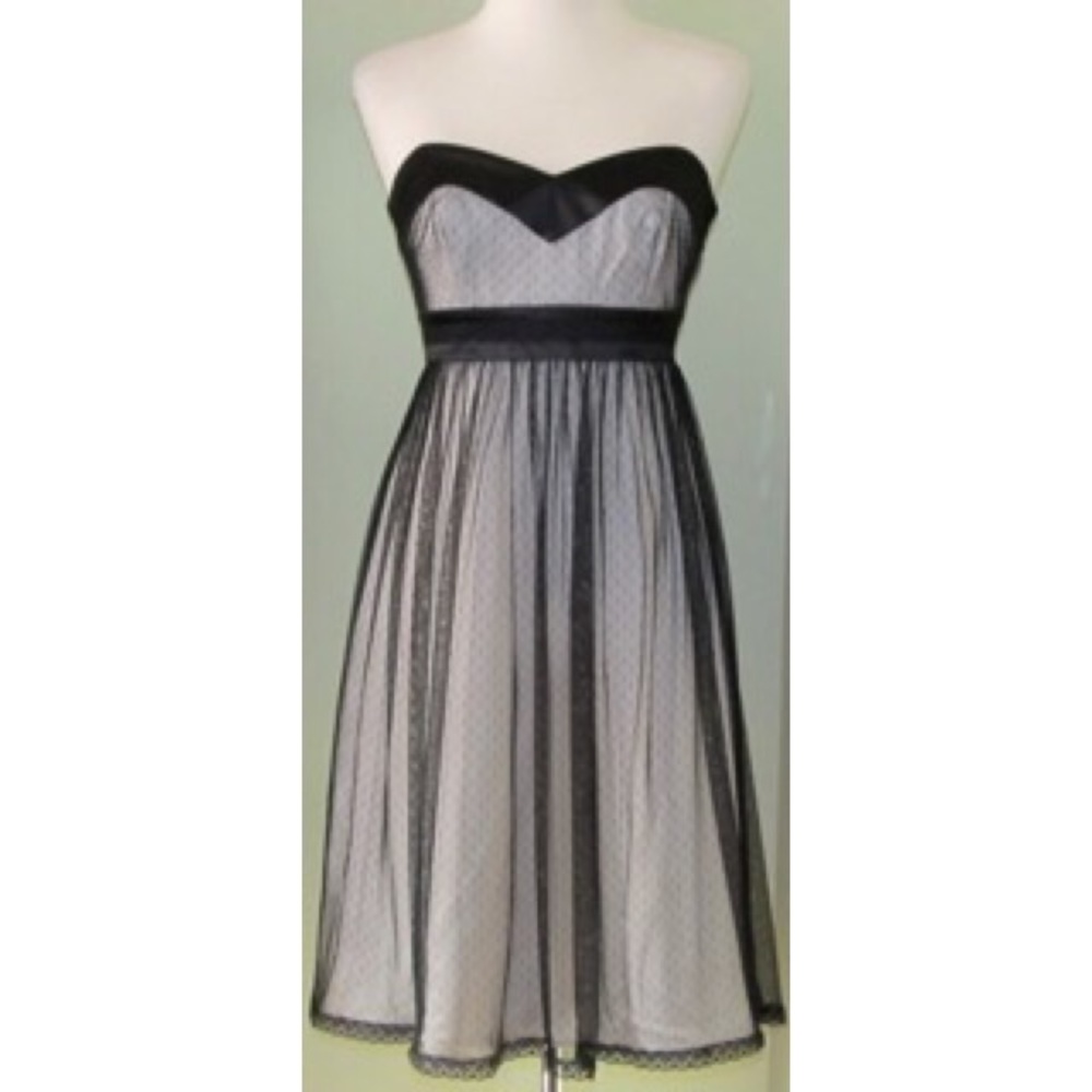 New WHBM Strapless lace overlay Dress 2 xs